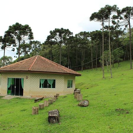 Sitio Arapongas Villa Campo Alegre  Eksteriør billede